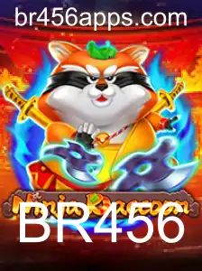 NinjaRaccoon: Mergulhe no Mundo dos Guaxinins Ninjas